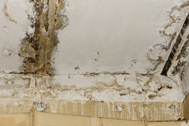 Fire Damage Restoration