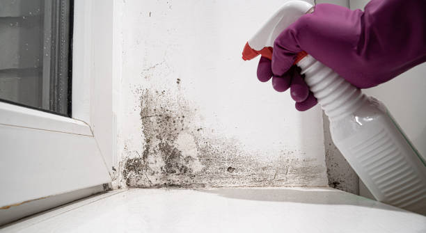 Trusted Newcastle, OK Water damage restoration Experts